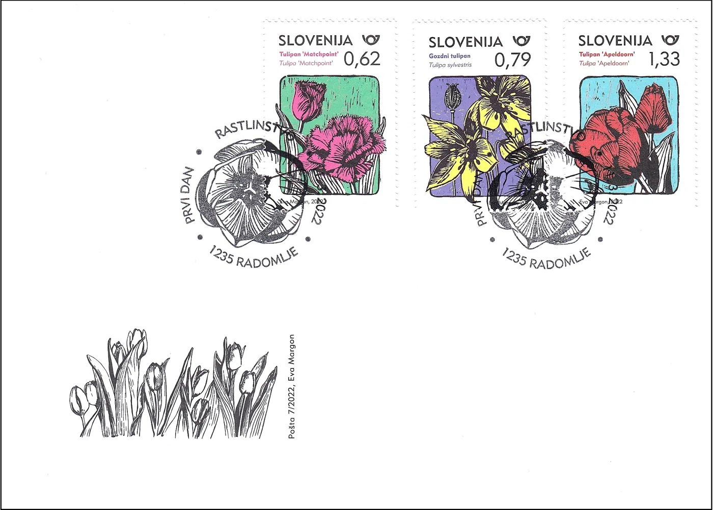 RASTLINSTVO - TULIPANI